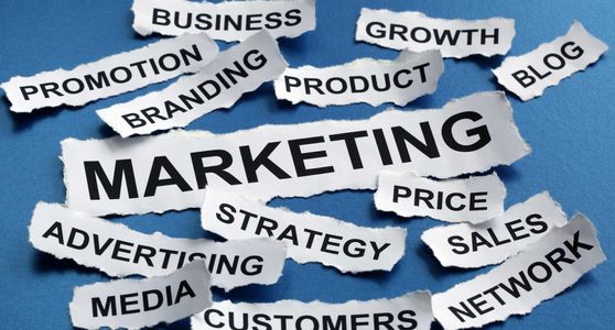 Marketing Promotions Webcasting Global Event Planning Strategic Partnerships Sales Strategy