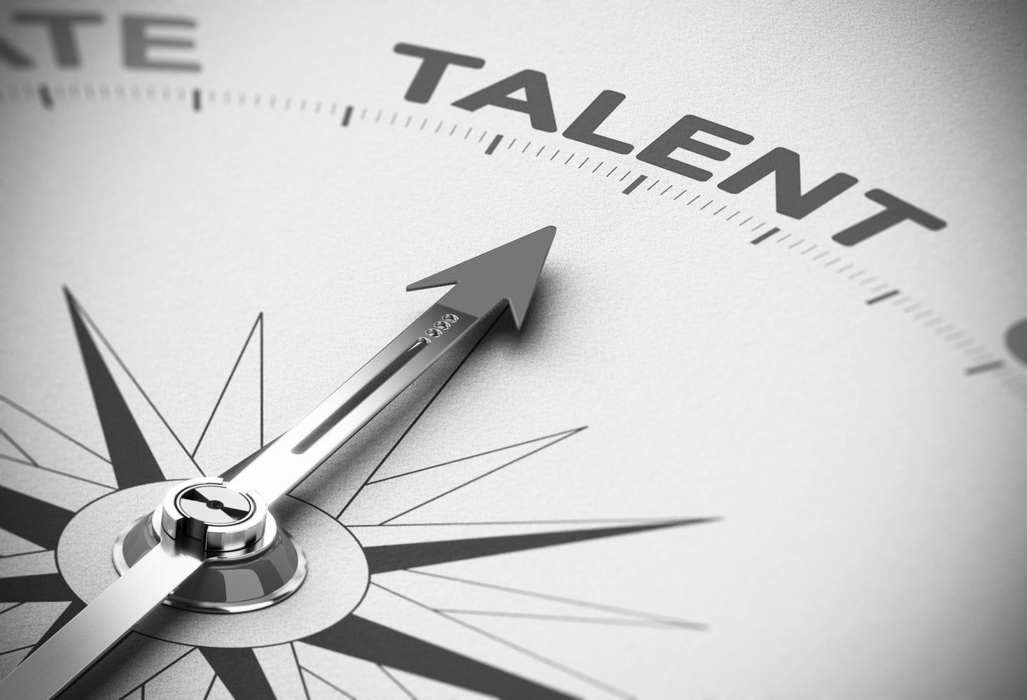 Talent Executive Search Recruitment Managerial Permanent Hiring