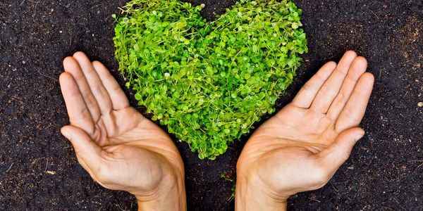 environmental love looking after the environment substantiate buisness 