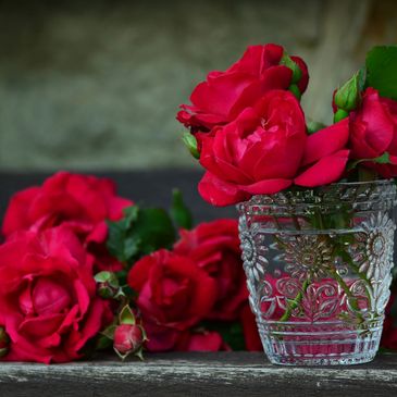 Roses prenant place dans un verre d'eau 