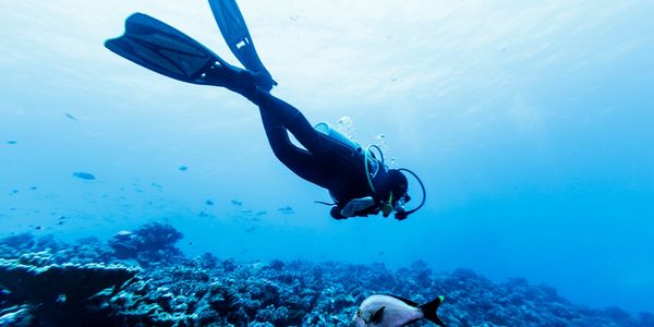 scuba diver above coral