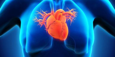 heart disease, transcatheter aortc valve replacement, TAVR