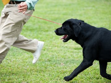 A man running with a dog on a leash through green grass.