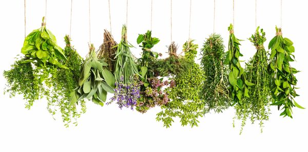 Holistic Medicine
Herbal medicine
Herbs
Acupuncture
Wellness
Raleigh
Pain
Inflammation
Natural 
Heal
