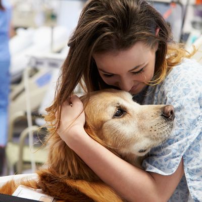 A girl in a hospital gown hugging a therapy dog for comfort