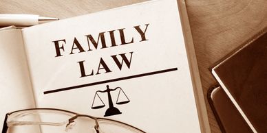 Family law legal book