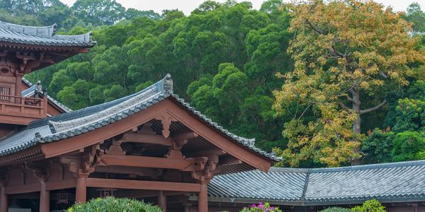 Traditional Asian architecture surrounded by lush greenery and blooming flowers.
