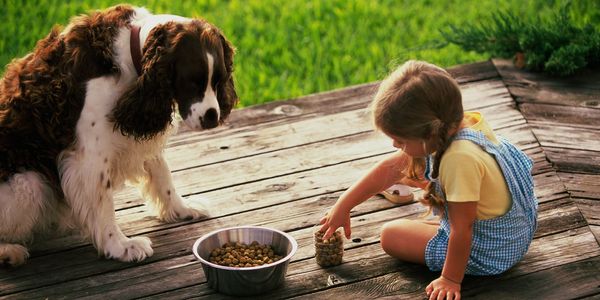 girl feeding dog