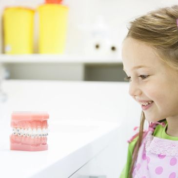 Young girl smiling and looking at dental model of teeth.