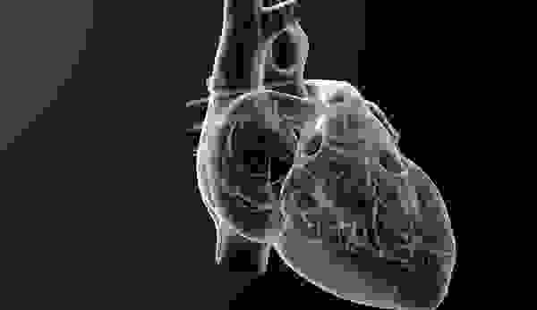 Heart image for cardiometabolic panel