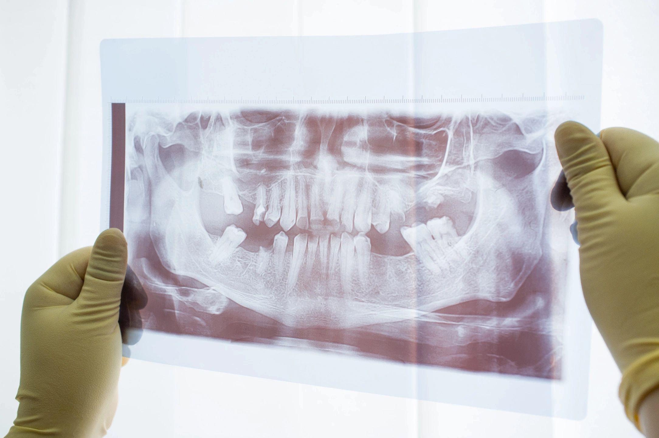 Castle Dental Laboratory