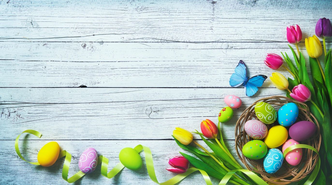 white barnboard, with blue butterfly,colored eggs in basket, tulips and ribbon in lower right corner