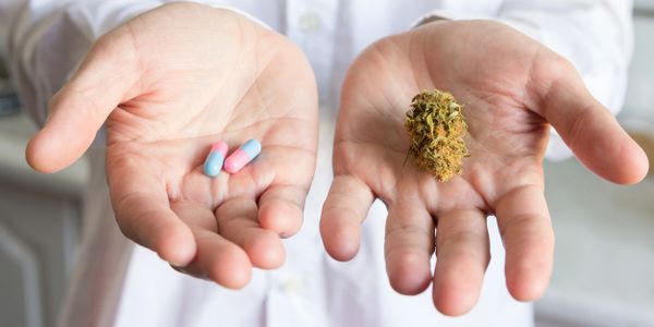 Cannabis flower and pills in hands.