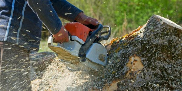 Midland Tree removal services in NJ 