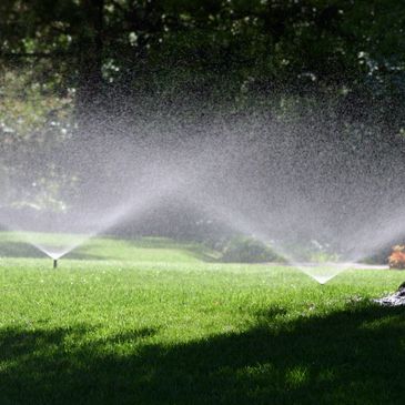 Lawn Care Waterville