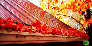red autumns leaves in a gutter