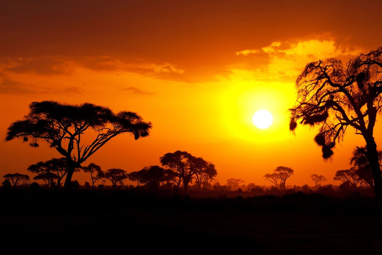 Sunset in Africa.