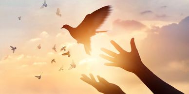 Two outstretched arms with a large dove and several smaller birds flying in the pink, purple sky.