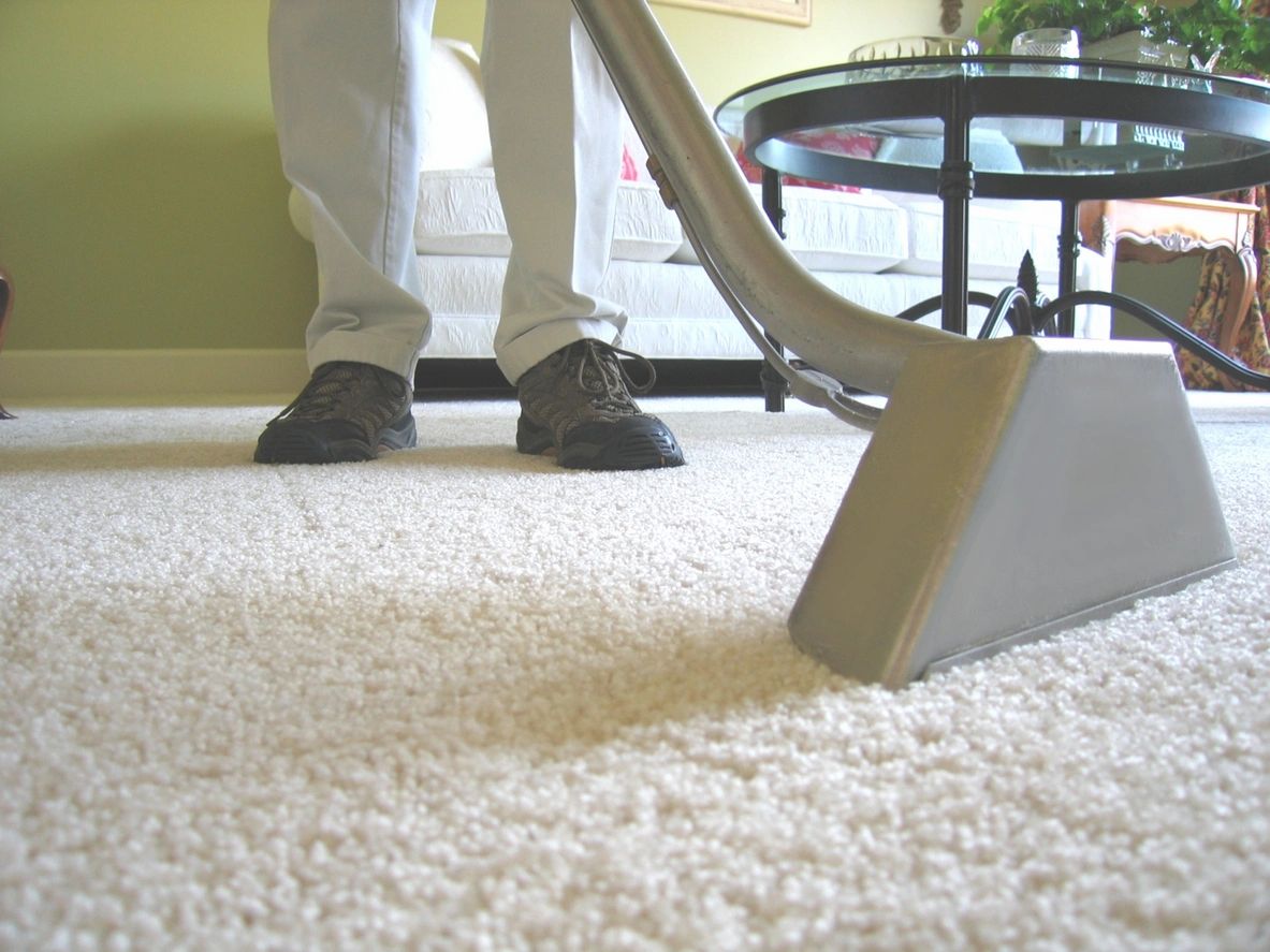 Neatnix Carpet Care