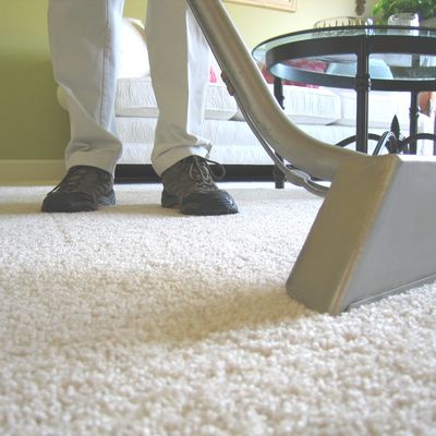 carpet cleaning, upholstery cleaning services, rug cleaning, couch cleaning, clean carpet, steam 
