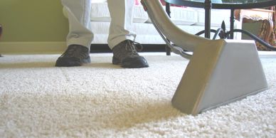 Green Home Carpet Care - Carpet Cleaning