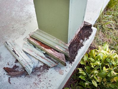 Termite Inspections Houston