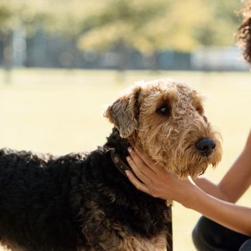 A woman smiling and petting a curly haired dog outside.