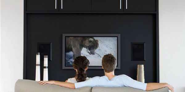 TV Mounting Speaker Install Networking Security Cameras Low Voltage Landscape Lighting Smart Home