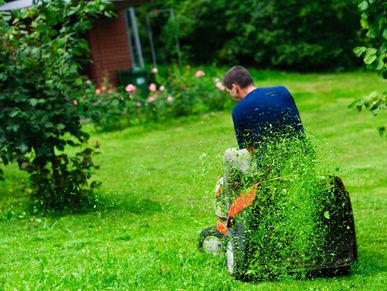 doctormower mobile lawn mower repair and maintenance