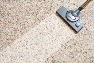 Professional carpet cleaning commercial carpet shampoo company near me in pittsburgh carpet steaming