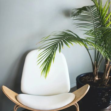 palm next to a chair