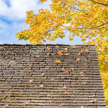 Roof shingle replacement Roof shingle repair, New roofing, roofing service best roofer, roofer