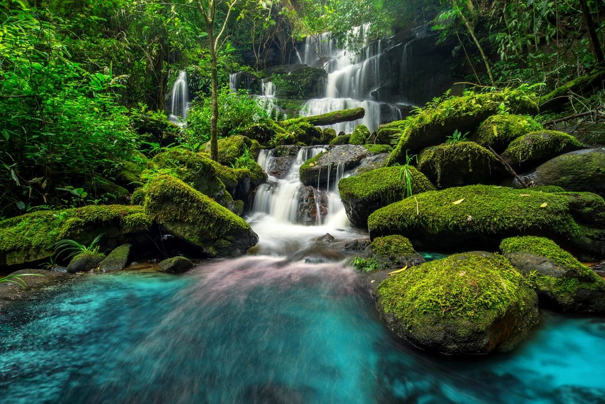 image of a magnificent waterfall and vibrant greenery 