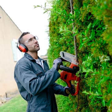 Gardening and hedge cutting