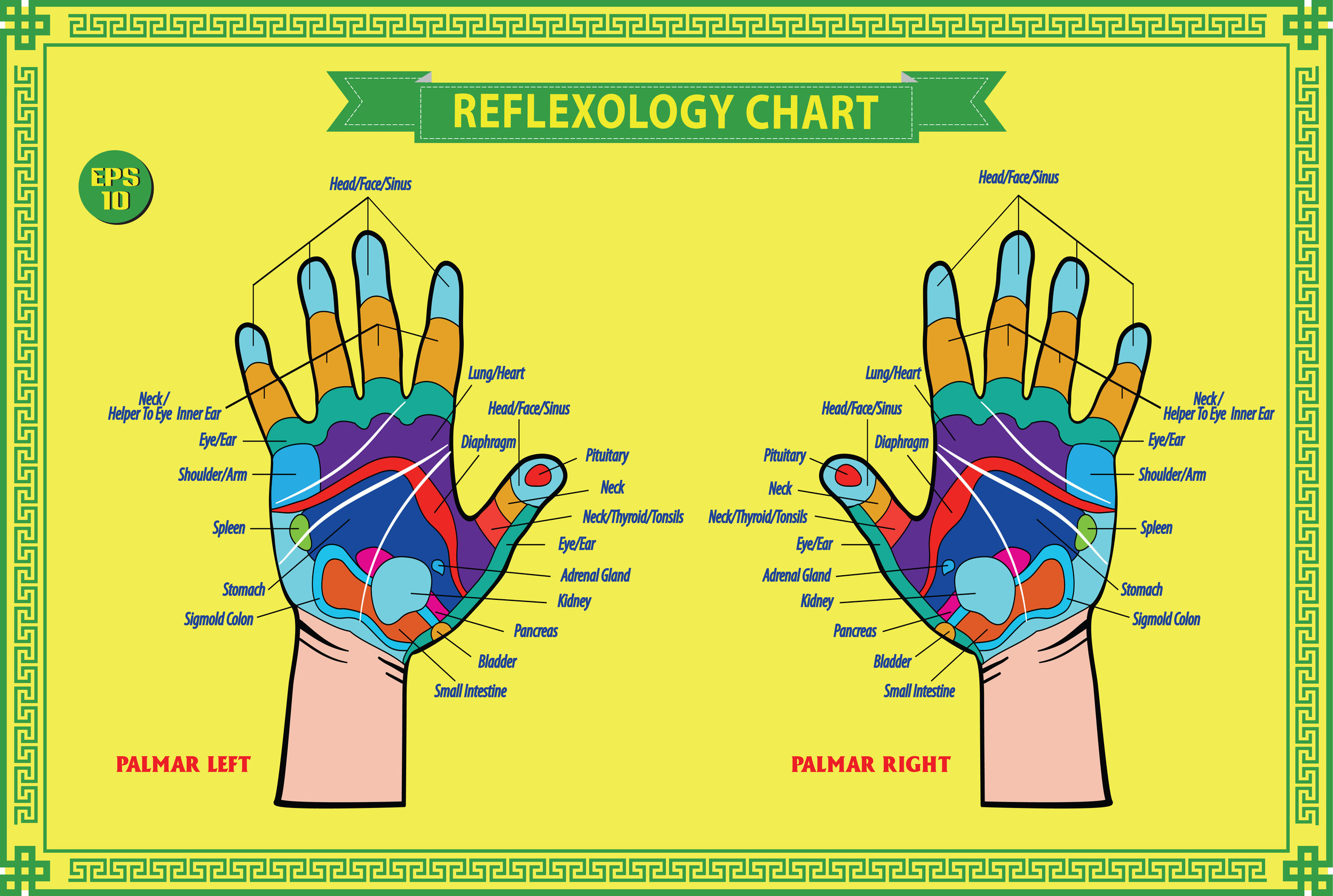 26+ Reflexology Hand Chart Pdf Background