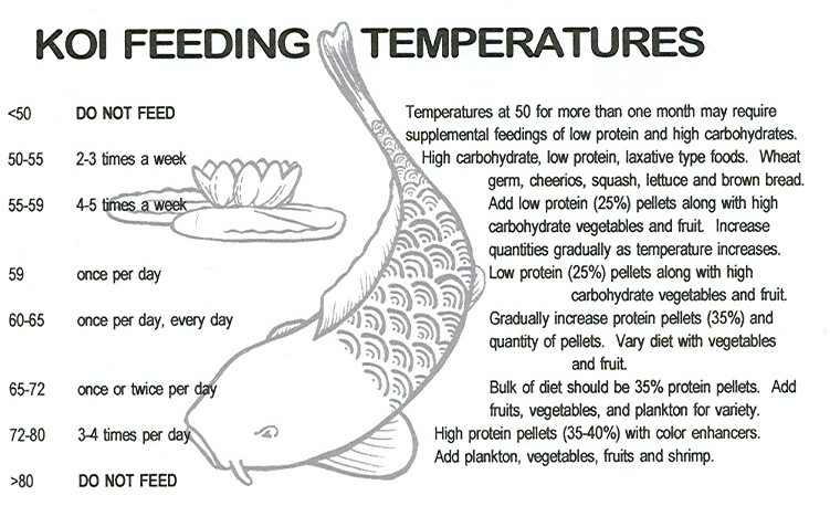 Useful Information