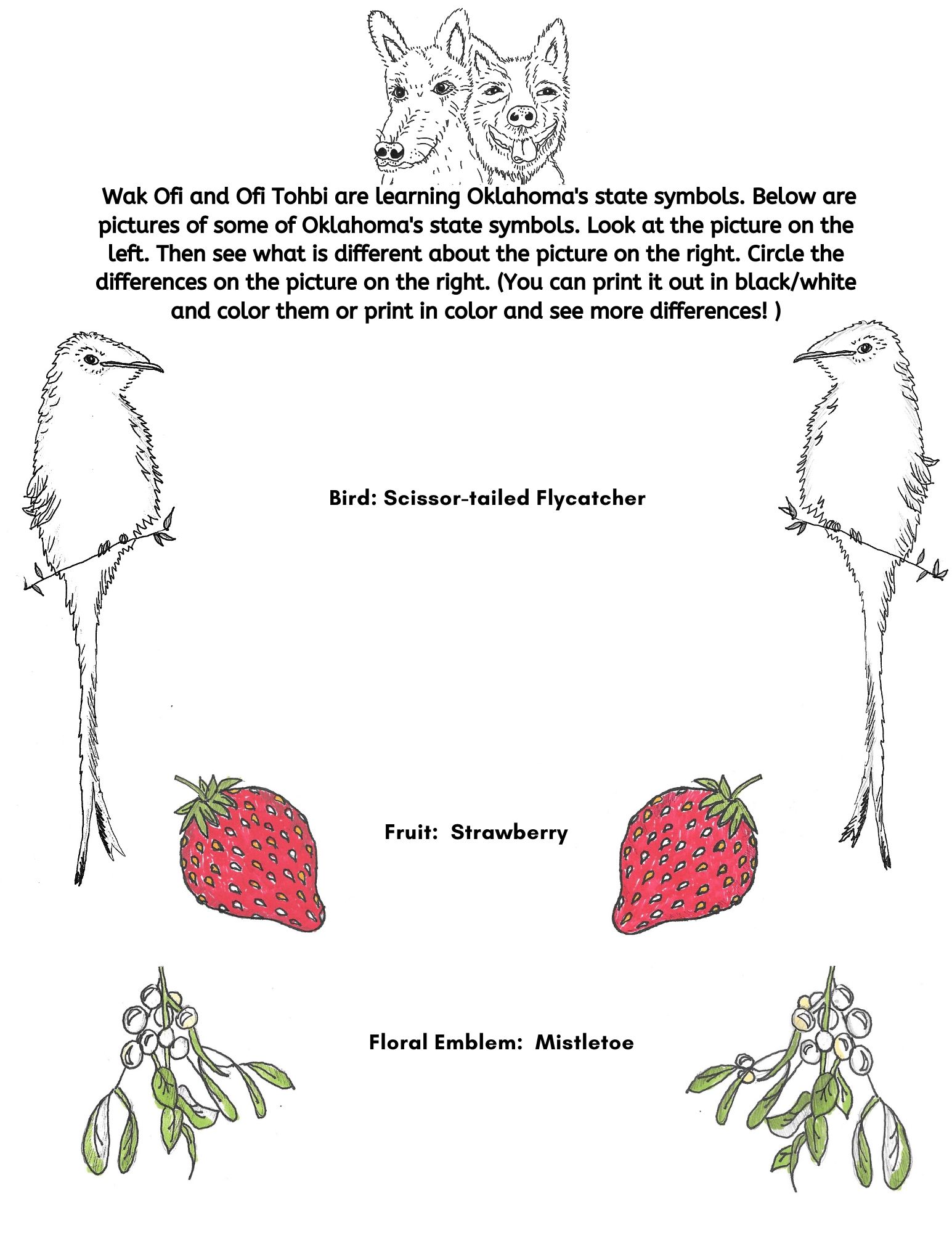 Blog Two Choctaw Sisters Chahta I Tek Tuklo