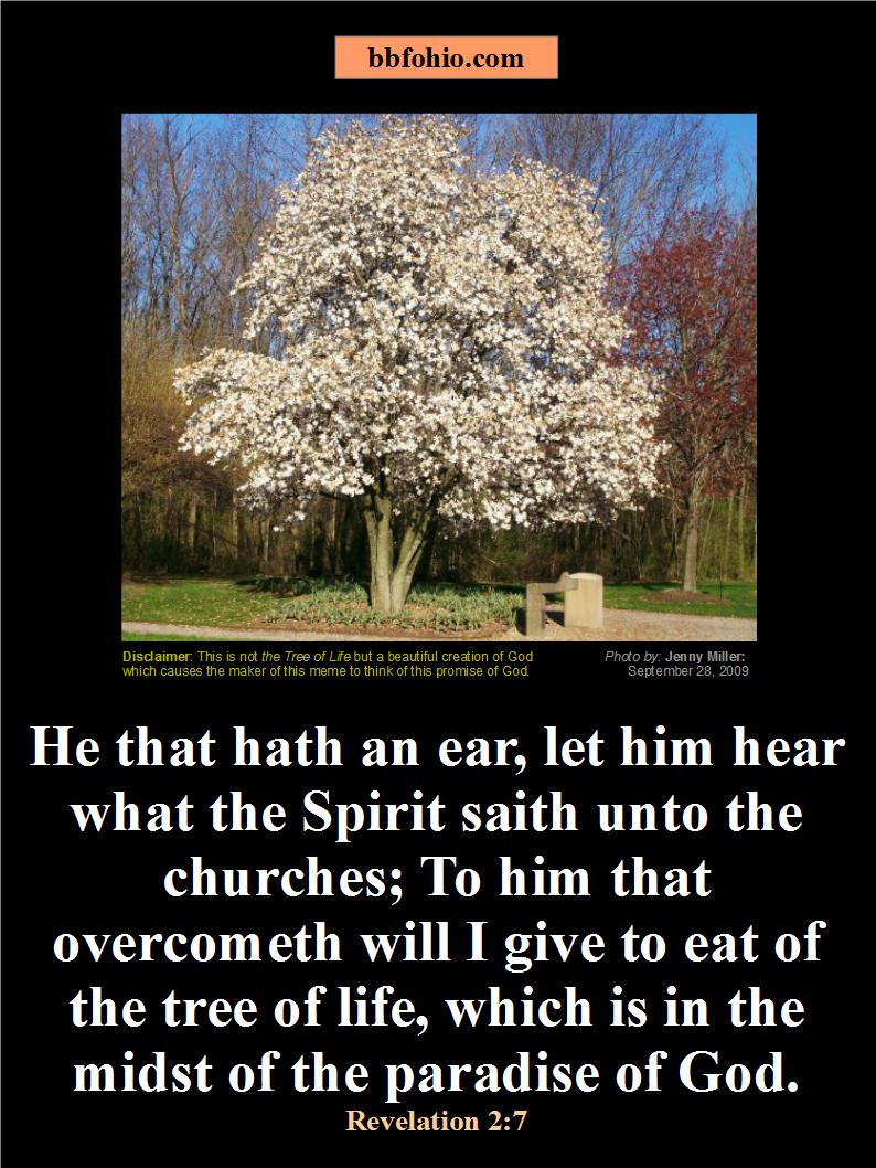 Memes Bible Believers Fellowship