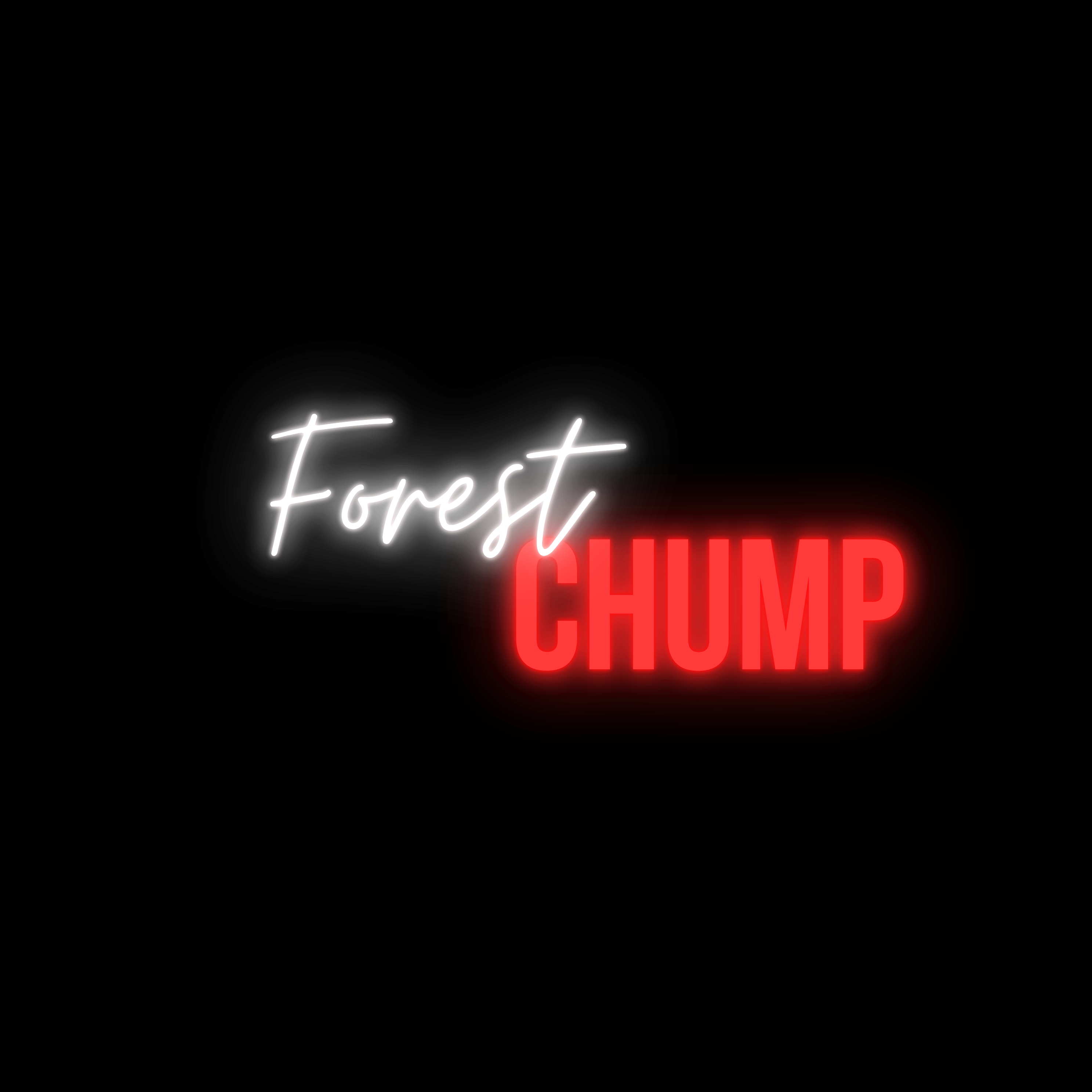 Chump ELECTRONIC PRESS KIT | Forest Chump Records