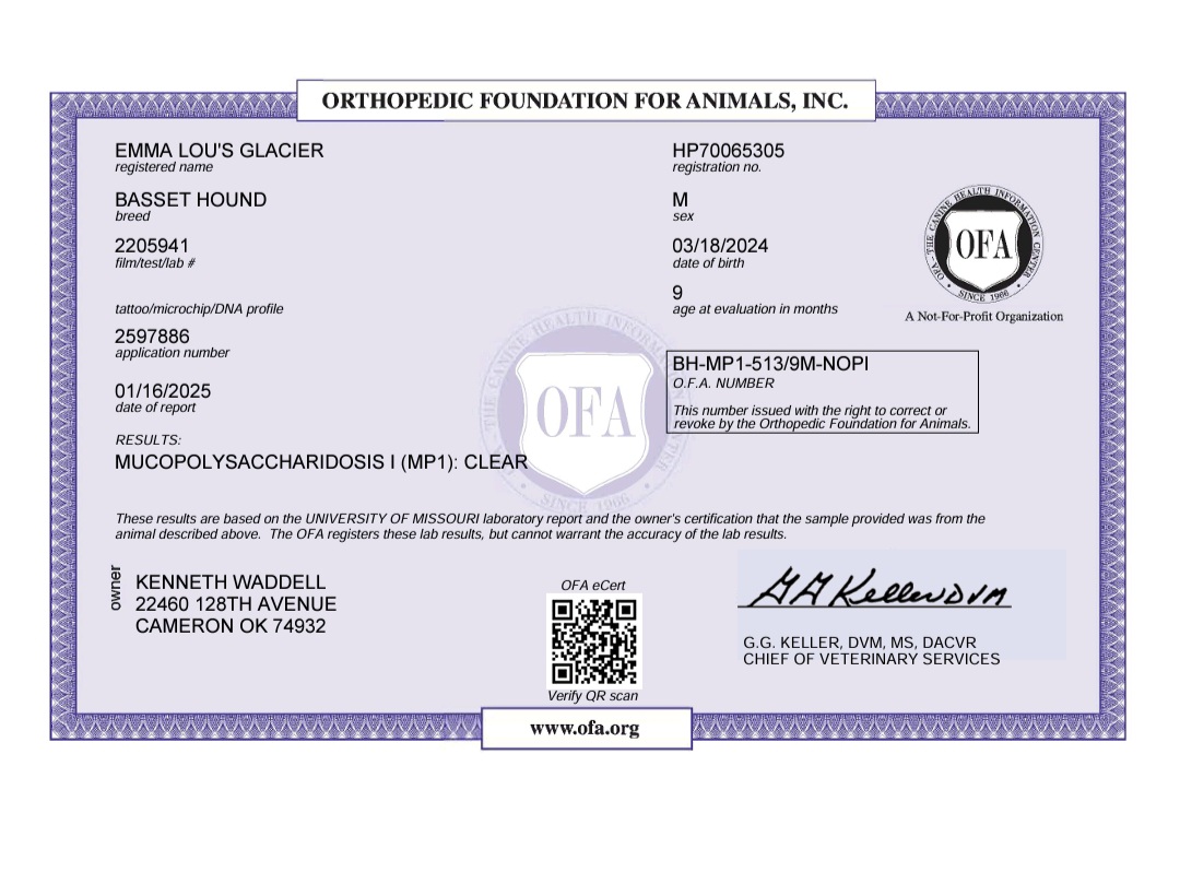 OFA Test Results
