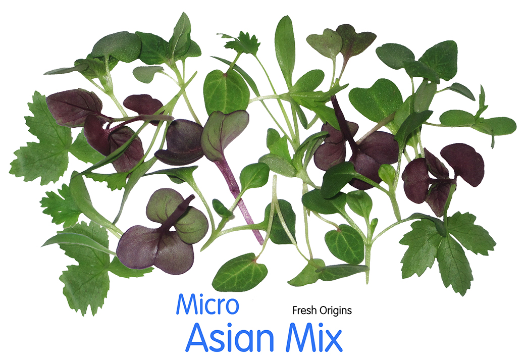 Micro Mixed MICRO MIXES