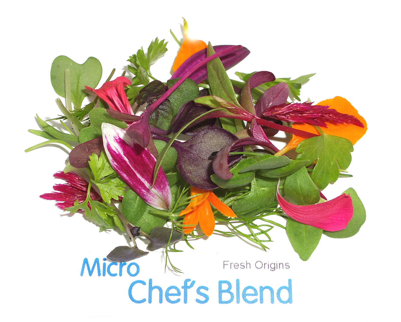 Micro Mixed MICRO MIXES