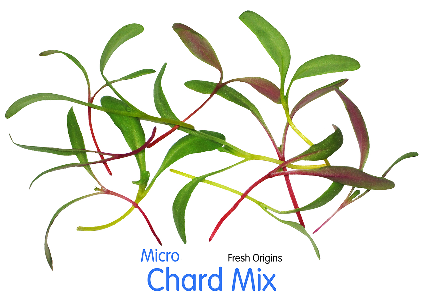 Micro Mixed MICRO MIXES