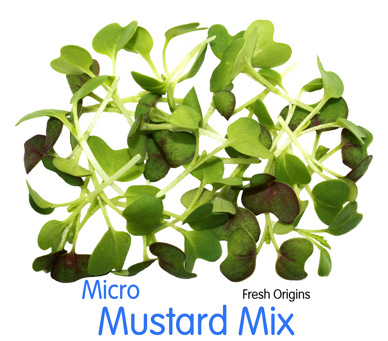 Micro Mixed MICRO MIXES