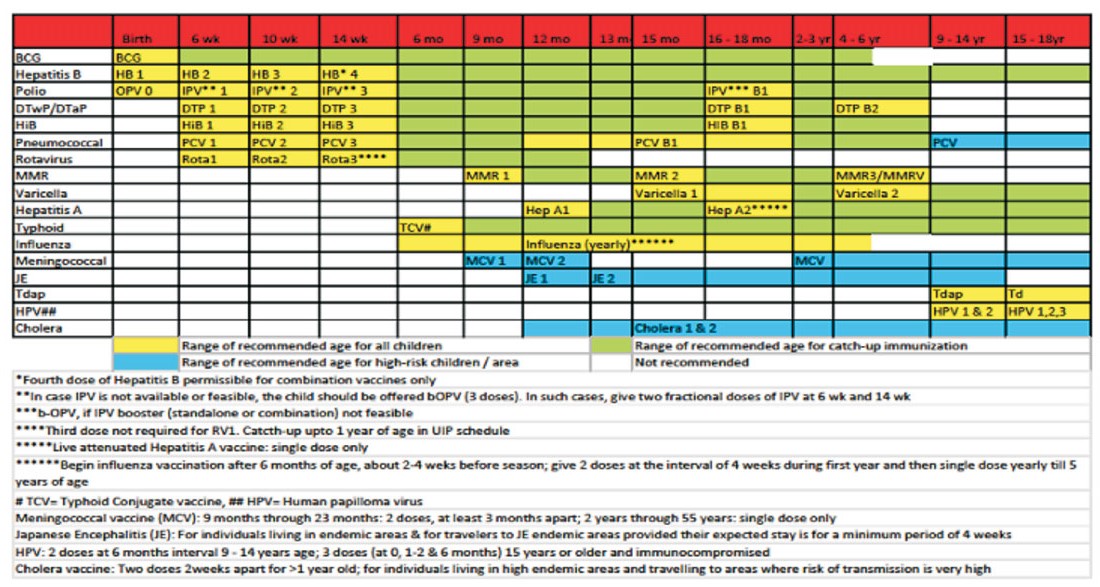 IMMUNIZATION SCHEDULE Child Care Clinic immunization-schedule-child-care-clinic