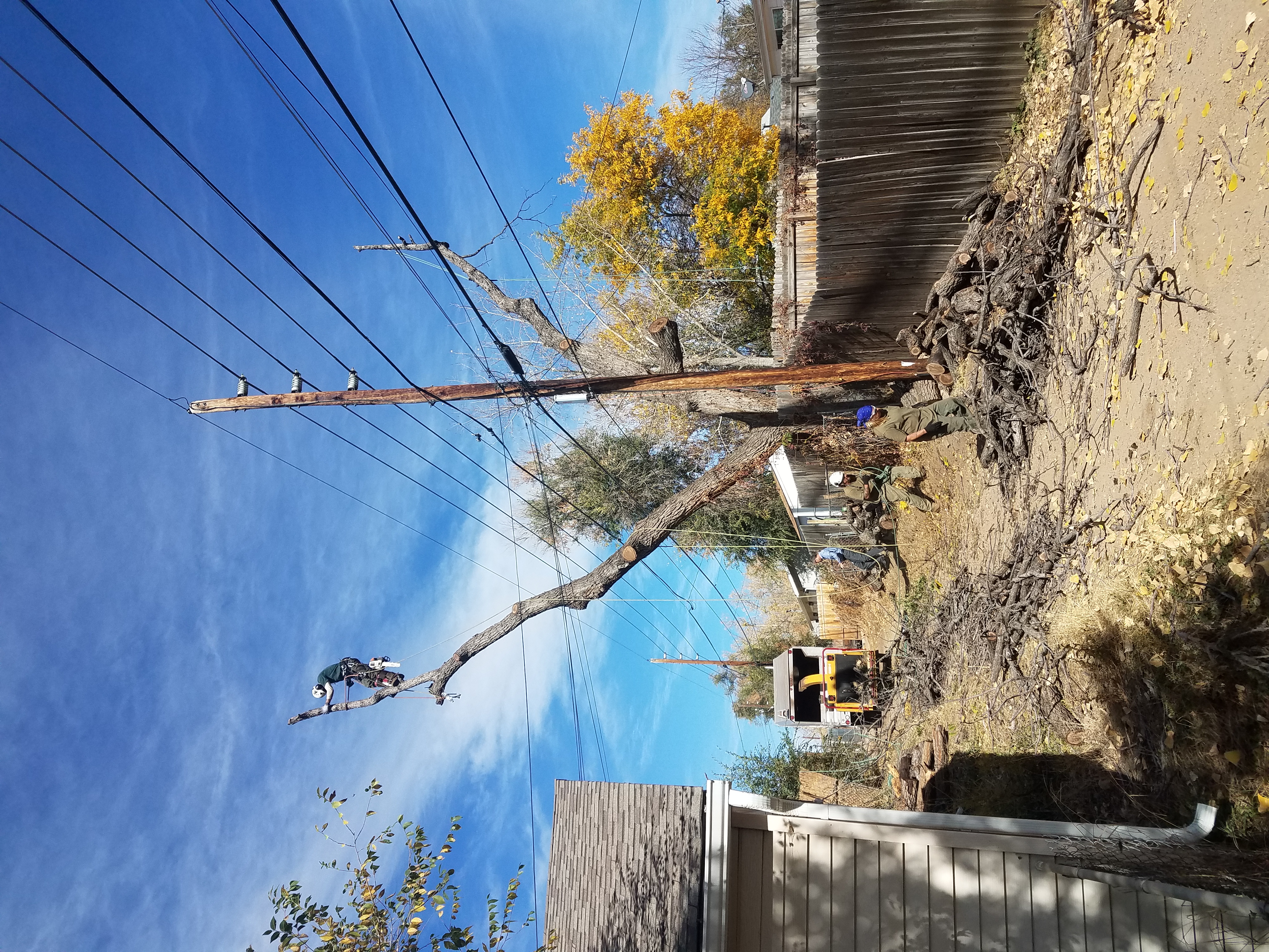 Photos | GE Tree Service