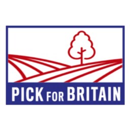 MT 1919 256X256 pickforbritain