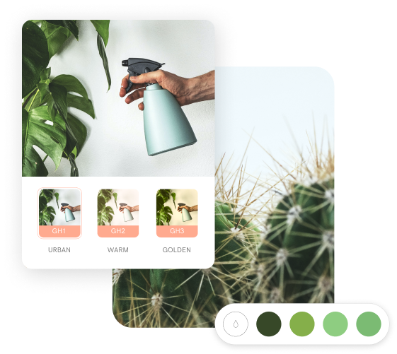 Spray