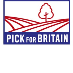 MT 1919 256X256 pickforbritain