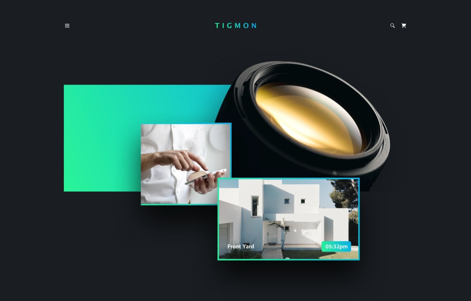 professional website templates